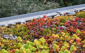 the cost of Wetley Rocks green roof installation