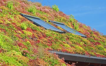 Wetley Rocks living roof systems