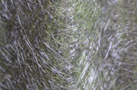 Wetley Rocks fibreglass roof work